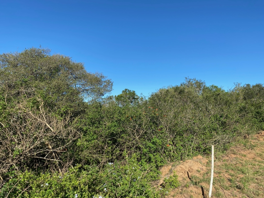 0 Bedroom Property for Sale in Bathurst Eastern Cape